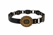 Canyon Disc Belt