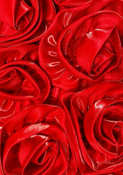 Rose Petal Corset Dress